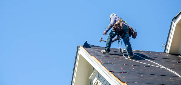 Best Roof Restoration Services  in Shanor Northvue, PA